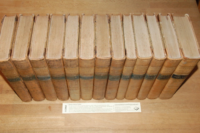 cicero_kopfschnitt.jpg
